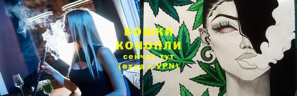 дмт Белокуриха