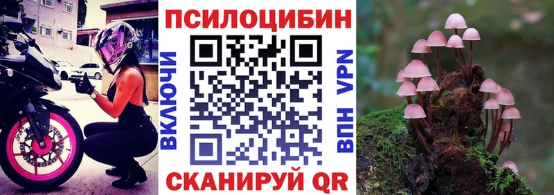Купить закладки  Кировград  Галлюциногенные грибы мицелий 